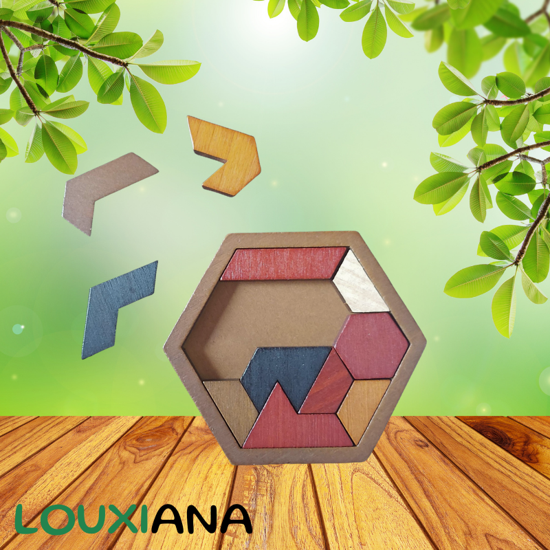 Puzzle Hexagonal en bois LOUXI Montessori 11 pièces