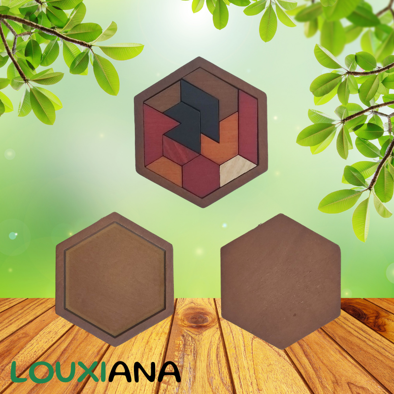 Puzzle Hexagonal en bois LOUXI Montessori 11 pièces